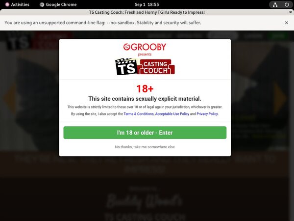 Account For Ts-castingcouch.com Free