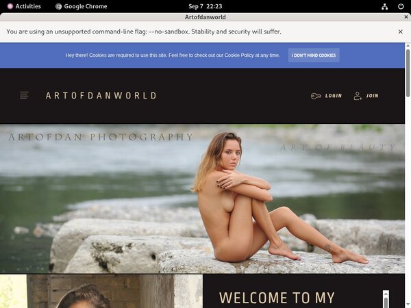Artofdanworld.com Free Stream