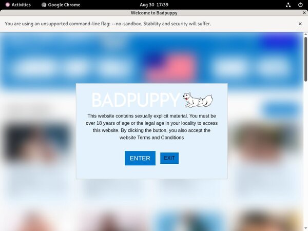 Badpuppy.com Bezahlen