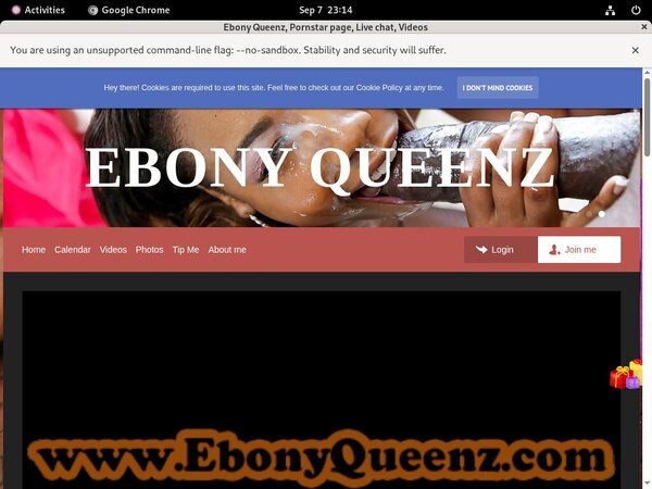 Ebony Queenz Login Info