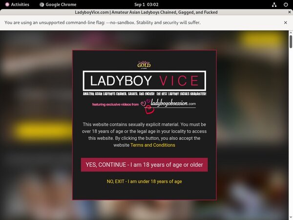 Free Ladyboyvice.com Premium