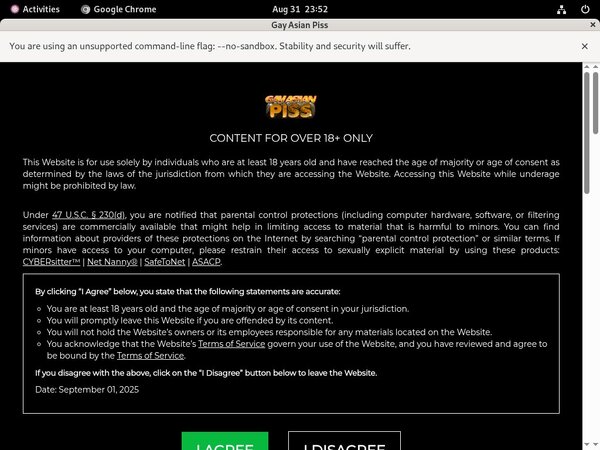 Gay Asian Piss Account Blog