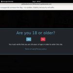 Girls In Steel Passwords 2018