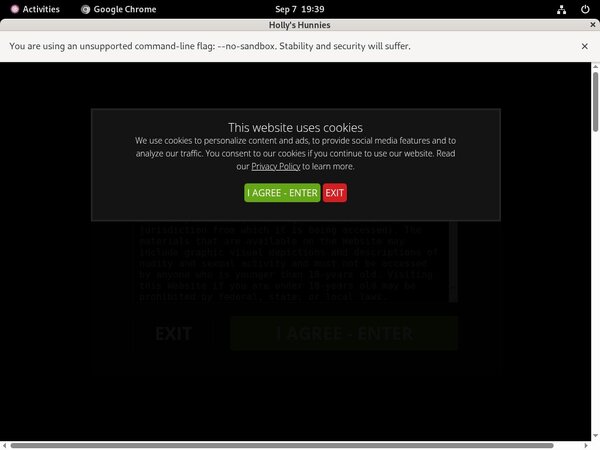 Hollyshunnies Promo Id