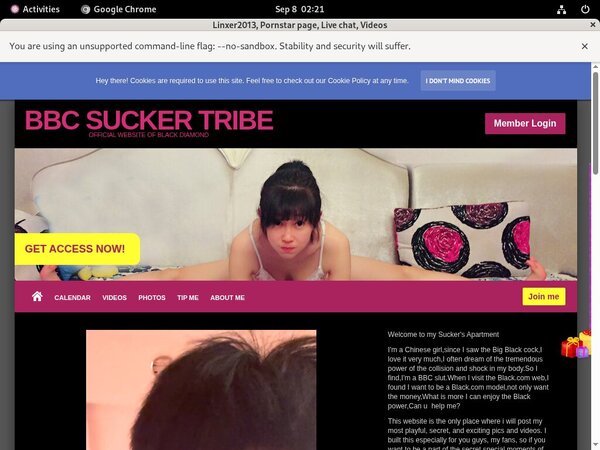 Linxer2013 Free Login