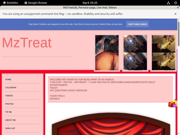 Mzislandtreat69gmailcom.modelcentro.com Wiki