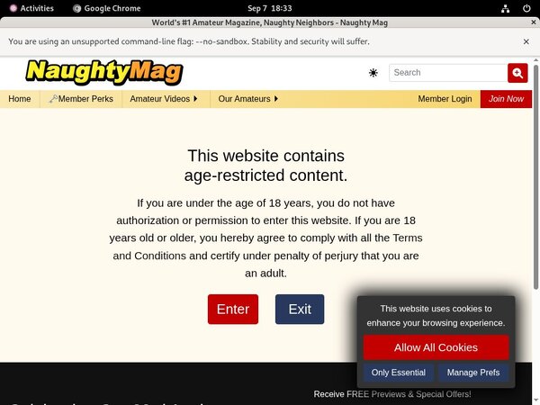 Naughtymag.com Toilet