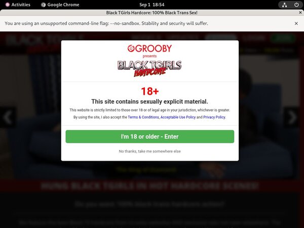 Password To Black TGirls Hardcore