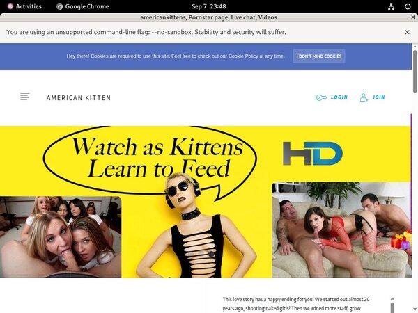 Passwords To Americankitten.com