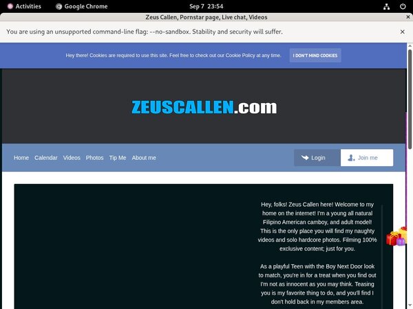 Passwords Zeus Callen