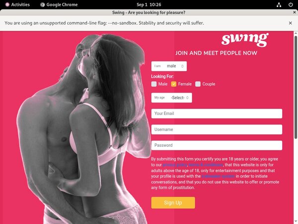 Premium Swing.net Passwords