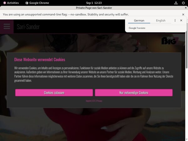 Sari Sander Deal Offer
