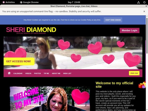 SheriDiamond Check Out