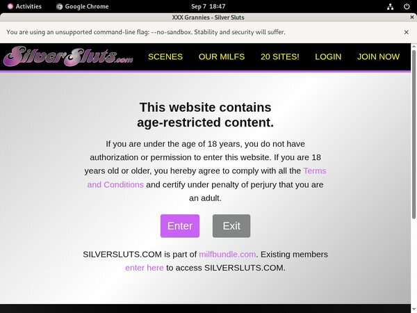 Silver Sluts Account Password