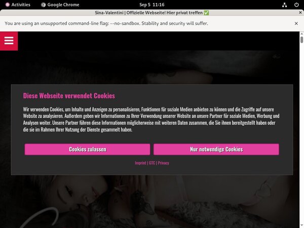 Sina-valentini.de Hacked Password