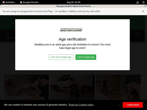 Sketboy.com Site Review