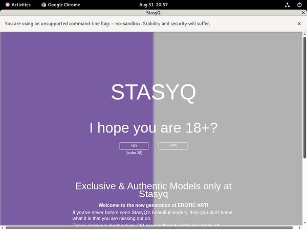 Stasyq Limited Offer