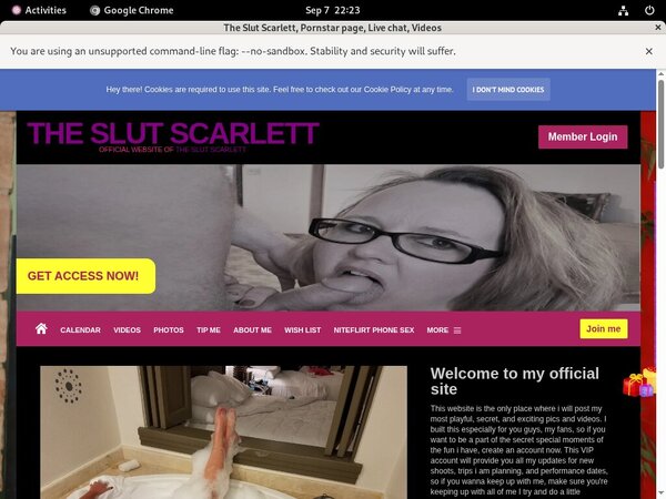 The Slut Scarlett Shop
