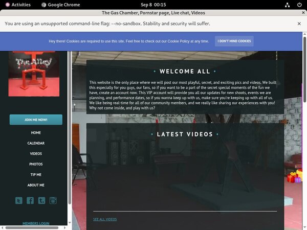 Thealleywynwood.modelcentro.com Premium Account Free