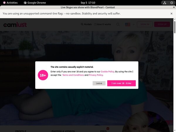 Username And Password For Camlust.com