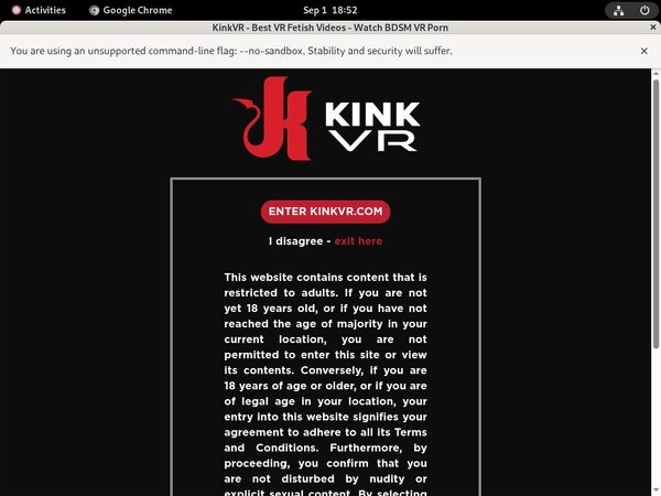 VR Kink Login Codes