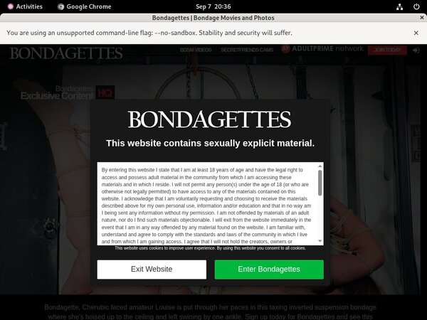 Bondagettes.com Daily Passwords