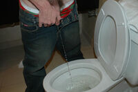 Boyspissing Discount Pass s5