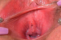 Gapemypussy Discount Payment s1 Gapemypussy Discount Payment s1
