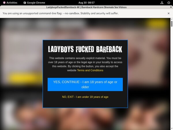Ladyboysfuckedbareback.com Password Username