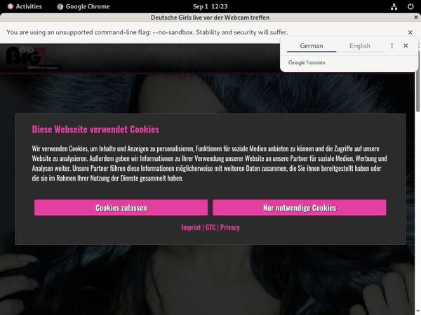 LanaGiselle Active Password