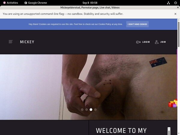 Mickeyelderstud New