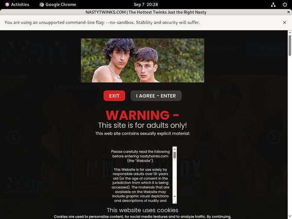 Nastytwinks Password Site