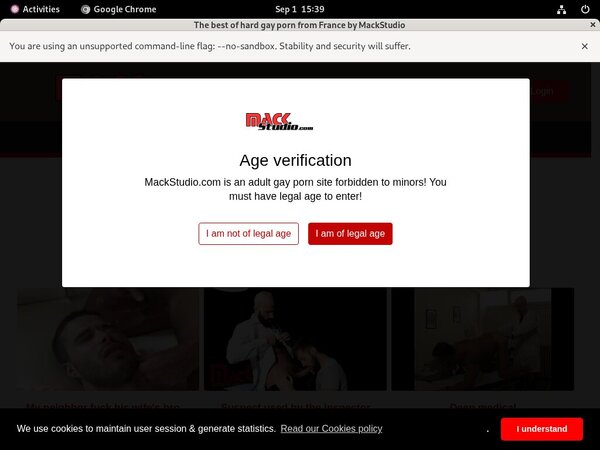 Site Rip Studio Mack