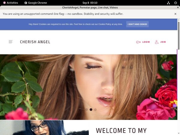 Cherishangel.modelcentro.com Code