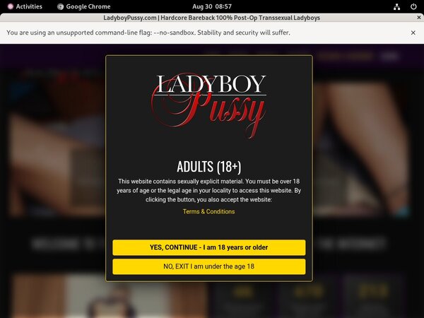 Get A Free Ladyboypussy.com Account