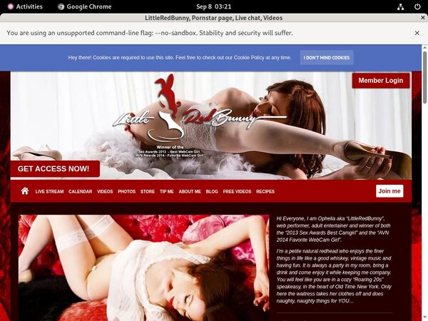 LittleRedBunny Discounted Offer