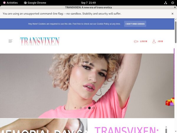 Transvixen.com Search
