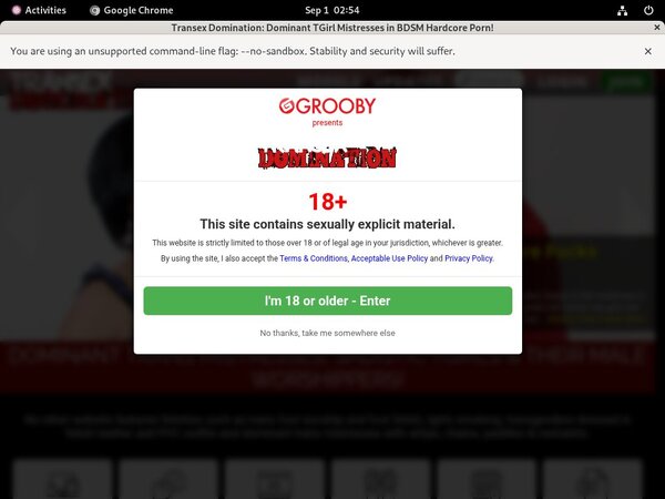 Transex Domination Netcash